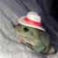 stalkerfrog