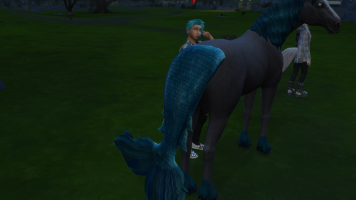Horse Fish Tail
