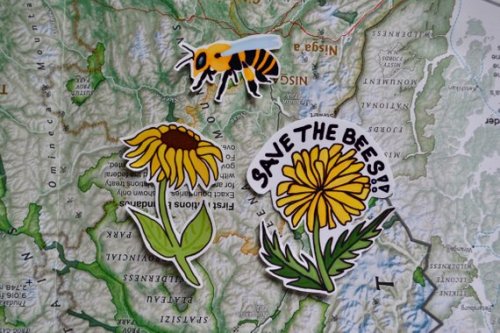 Save The Bees Stickers //ArtByKimba