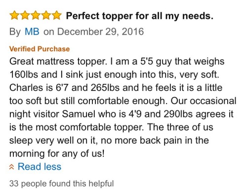 wetorturedsomefolks:plasmalogical:gorejock:watergender:i’m reading mattress topper reviews on 