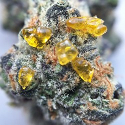 letssmokeloud:  Always dank weedporn by macromob420! Visit LetsSmokeLoud.com for dank weed pics!