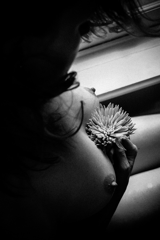 carlyadastra:  You know what I love most about these images? My life as an artist