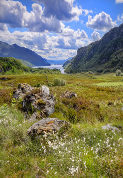 wanderthewood:  Loch Maree, Wester Ross, Scotland by matt lethbridge 