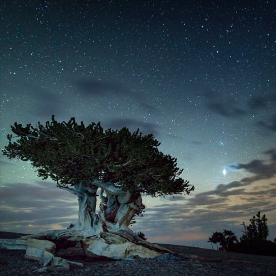 micdotcom:  17 stunning photos remind us how America really is the beautiful All