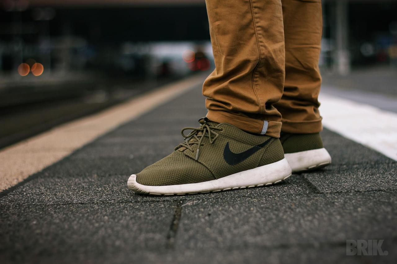 roshe run iguana