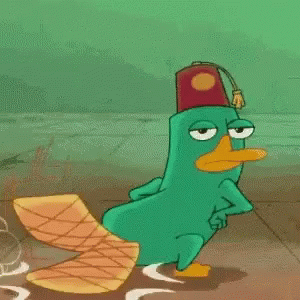 like a platypus | Tumblr