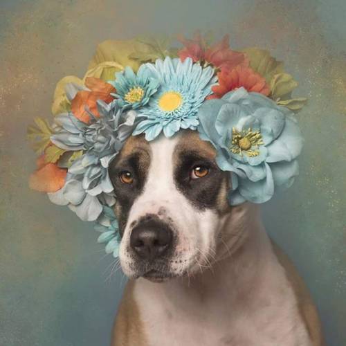 equanimity-in-the-stars:ithelpstodream:Flower Power: Pit Bulls of the RevolutionYes. This is the kin