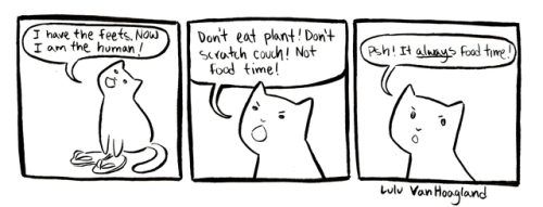 indifferentsocks: Made it to 10 Boober comics! Have a big post of kitties. I think I’ll be mak