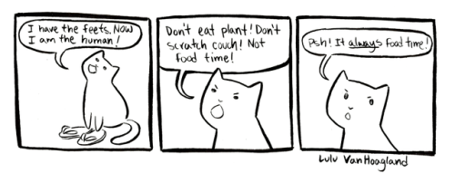 ancientreader:ancientreader:indifferentsocks:Made it to 10 Boober comics!Have a big post of kitties.