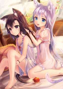 yousing:  (via  【二次】あの素晴らしい猫耳をもう一度【画像】　その７