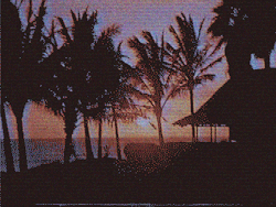 neondreams83:  Sunset Memories 