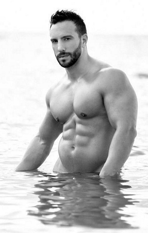 chubbyargentina:  https://www.facebook.com/pages/Chile-Bear/294001410704513