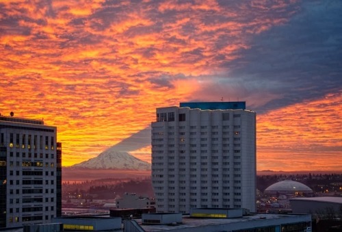 unicorn-meat-is-too-mainstream:  The Shadow of Mount Rainier Bhakta’s Weblog:  facebook  |  twitter  |  pinterest  | subscribe 