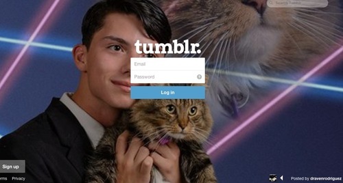 nohedgehogsok:  enchanting-ravenclaw:  enchanting-ravenclaw:  enchanting-ravenclaw:  a kid from my high is fucking trending on facebook because of a stupid petition to get a senior photo of him holding a cat into the yearbook…   (x)  UPDATE!! My principal