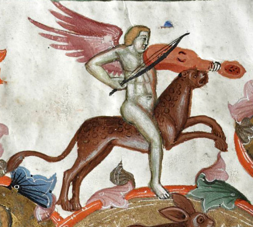 winged musician riding a leopardAnjou Bible, Naples ca. 1340Universiteitsbibliotheek Leuven, Cod. 1,