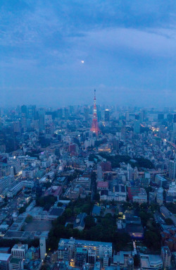 fuckyeahjapanandkorea:  Goodnight Tokyo (by slawekkozdras) 
