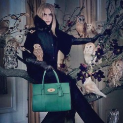 iamcaradelevingne:  New #AW13 @mulberry_editor campaign  This photo is entirely unstaged. Yet another reason for Cara to have her own show.