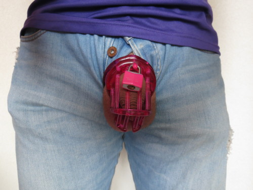 Mein Schlappschwanz verschlossen in einem pinken CB-2000. Darüber ein Stringtange mit Herzchen und eine Jeans. 