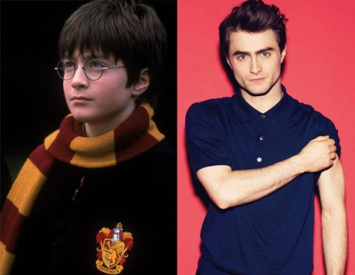 trending-posts:  jeremy–li:  Harry Pottery and the glorious puberty