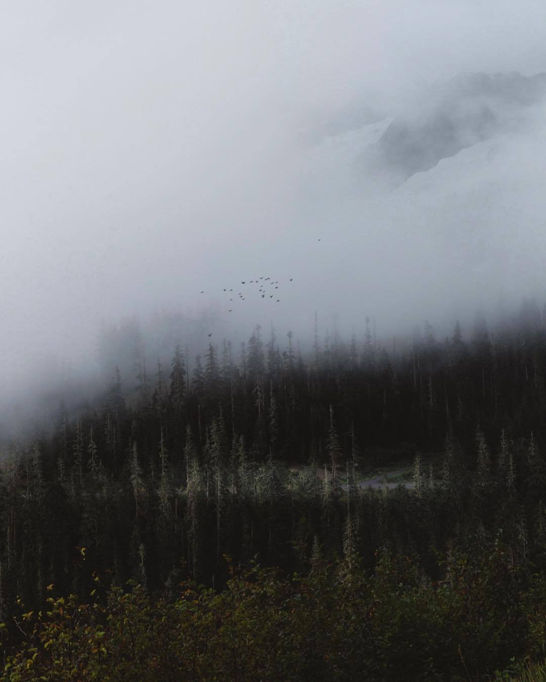 your-mountain-mornings: Harish Kumar