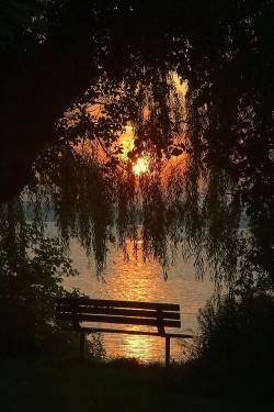 wicked-naughty-diva:  Sit with me.