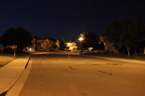 artsgrl:  night of the blue moon