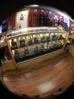 your-echoes:  My view almost daily as a budtender in Denver, Colorado.