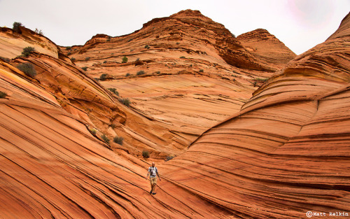 nolonelyroads:Coyote Buttes South, Paria Canyon-Vermilion Cliffs Wilderness, UT-AZ Border