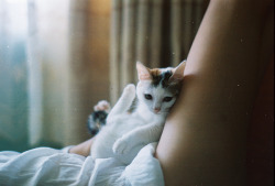 convexly:  The lazy day by Amy Chu :) on Flickr. 