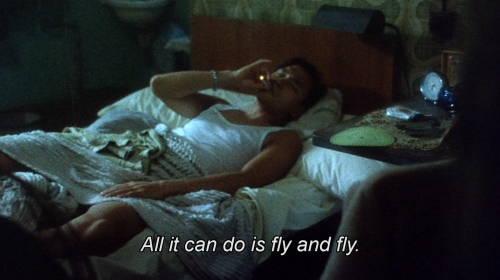 derekjarman:阿飛正傳 (Wong Kar-wai, 1990)