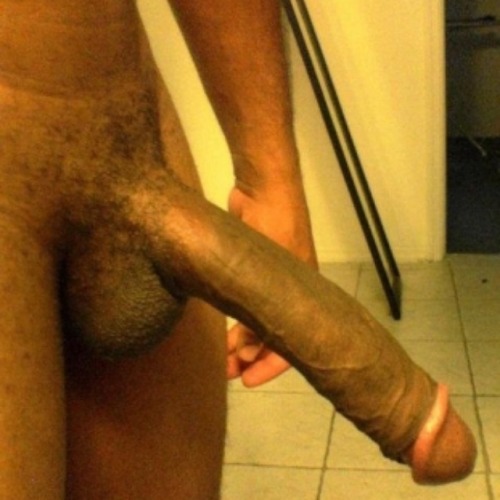 rickybbc123:  My Big Black Cock Who Wants To Trade Pics  beautiful sexy cock.