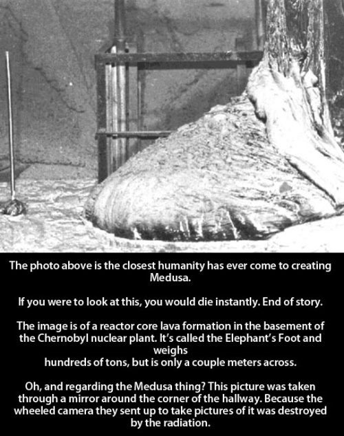 inuko-san312:  Chernobyl’s Elephant Foot aka Medusa