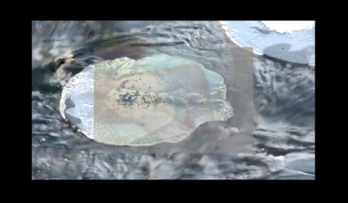 Elise Dompierre presents: INNER II WITHIN: sip the ocean of hope in a cruel worldwatch here: https:/