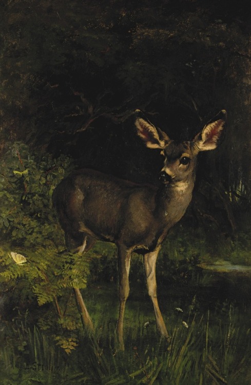 forestdenizen:Elizabeth Strong (1851 - 1941) Deer in the Woods
