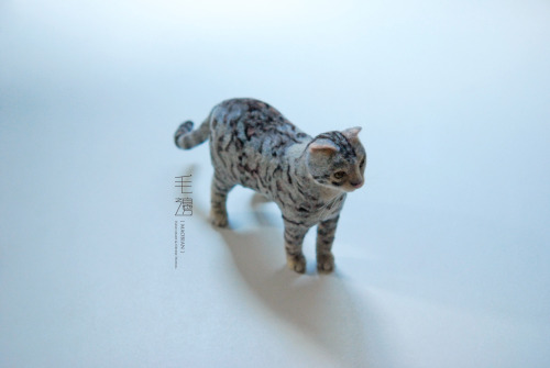 ▋ Bengel Cat ( custom-made ) Sculpture approximately 7 x 17 x 17 cm ( not including the tail )