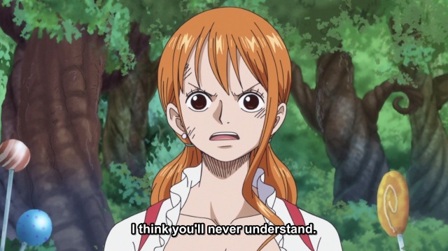 So I'm rewatching the whole cake island arc and I'm really noticing how  helpful Nami is here. Like she really helped out Luffy and I loved her  character in this arc. I