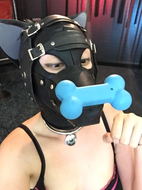 XXX Master and Pup-pet's place photo