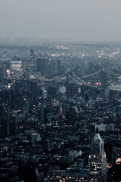  Manhattan And Brooklyn Bridge 