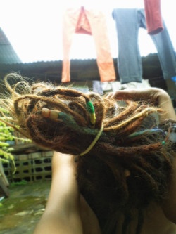 kimalicia:  dreads shoot 01 