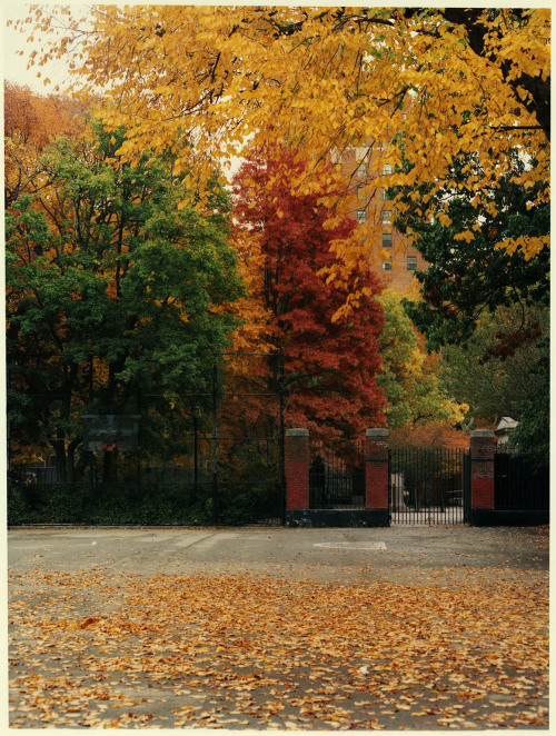 quentindebriey: tompkins square nyc