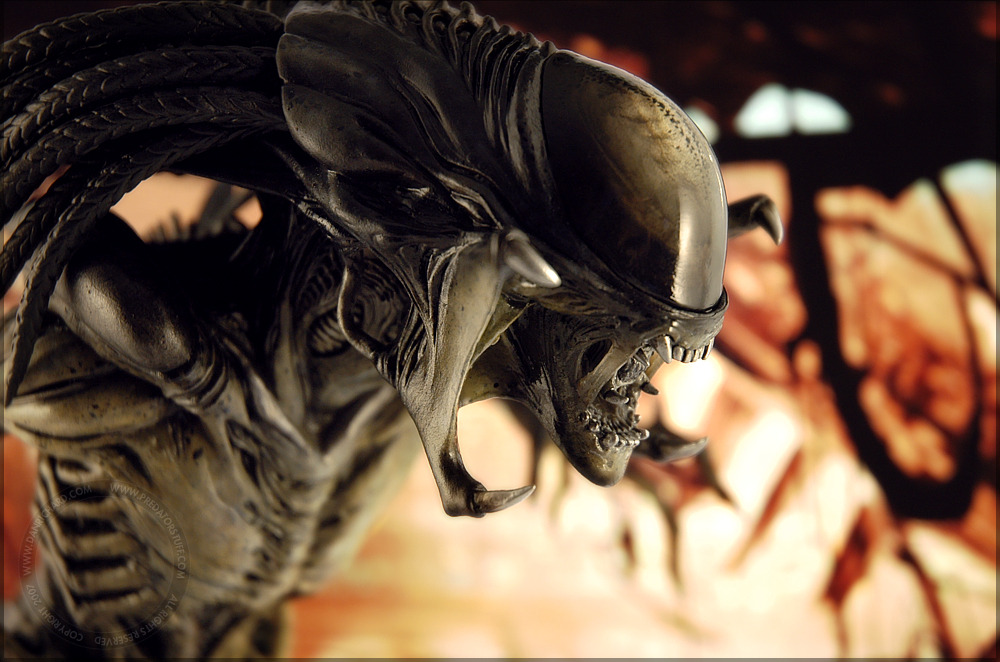 machineraptor:  Aliens &lt;3 