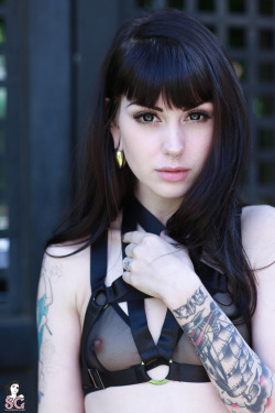 inkedbebygirls:  thedarksideofgruff:  Arwen