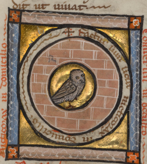 thegetty:Superb OwlsA round up of truly the most superb owls in our collection. Franco-Flemish OwlCr