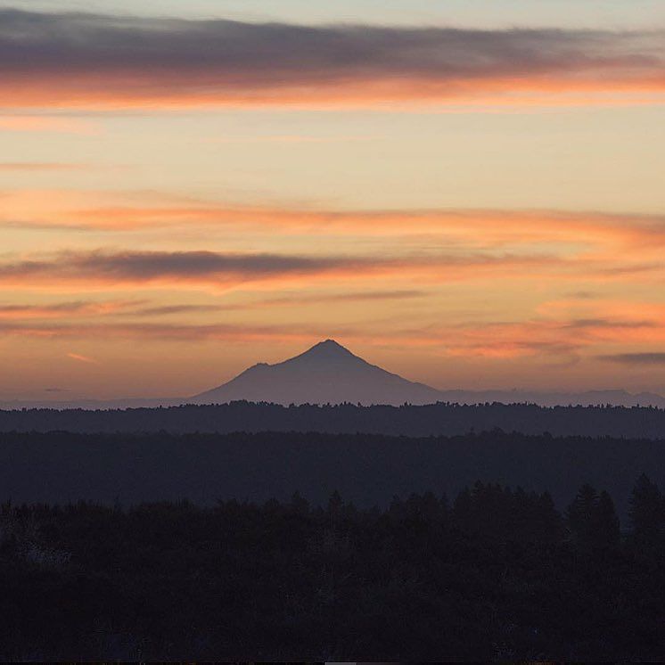 officialkiwiphotos:
“Incredible view over Taranaki with mt Egmont in the background http://ift.tt/2fMmsg1
”