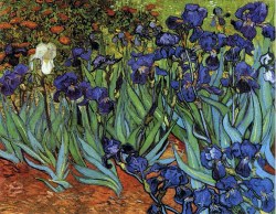 vincentvangogh-art:  Irises, 1889 Vincent