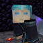 lastlifescar