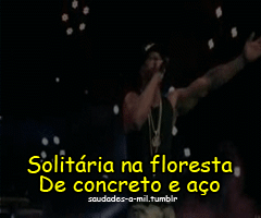 Bem Vivo