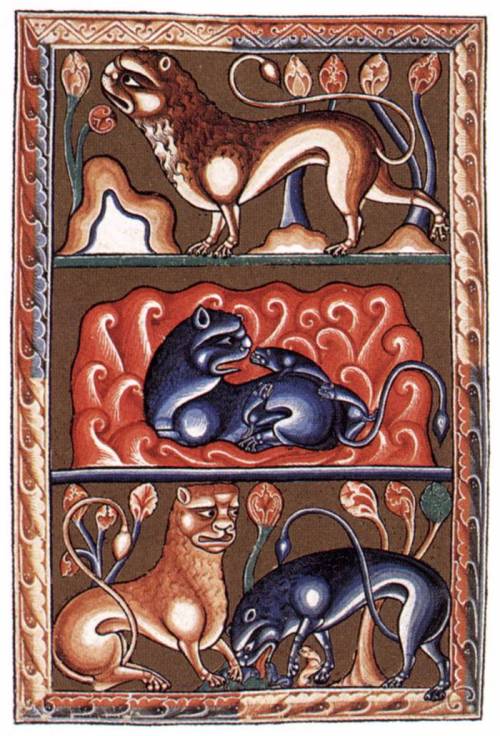 Illustrations of the behavior of lions.  Miniature by an unknown English artist from the so-called &