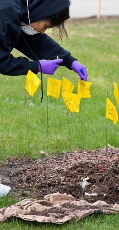 cmuniversity: CMU students were given a chance through a forensic anthropology class to investigate 