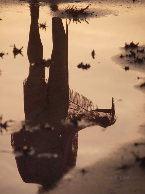 natosha reflected &amp; double exposed 2014 coach moon